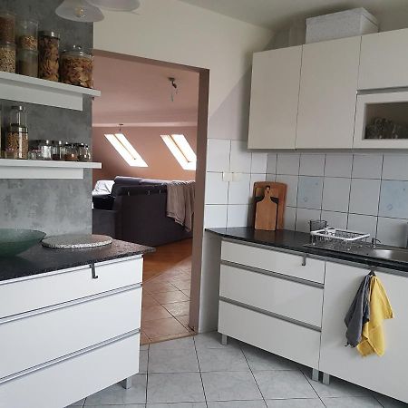 Wczasowisko Karola Appartamento Lubomierz  Esterno foto