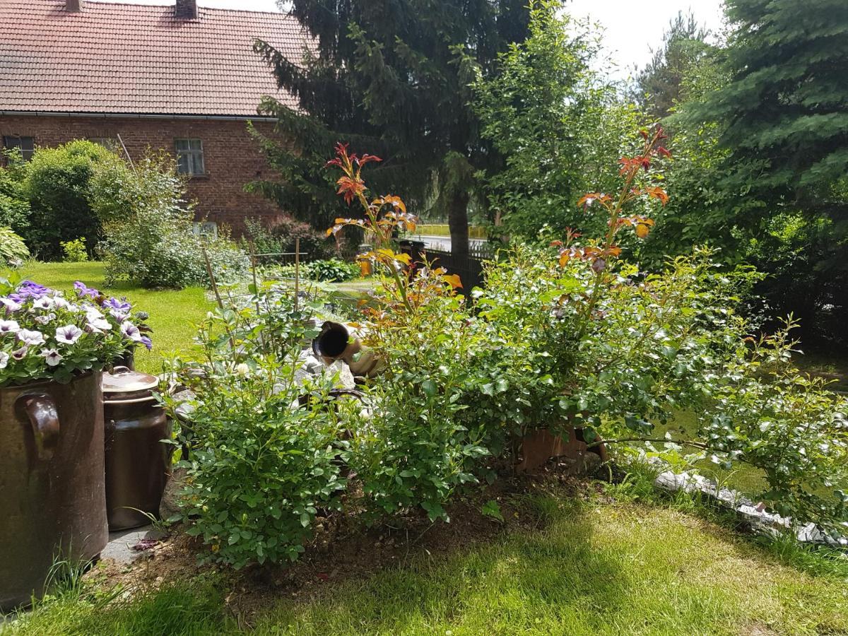 Wczasowisko Karola Appartamento Lubomierz  Esterno foto